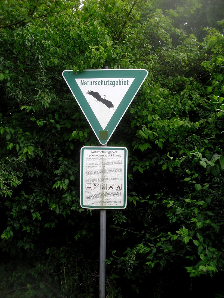 Sande - NSG Lippeniederung bei Sande - 6