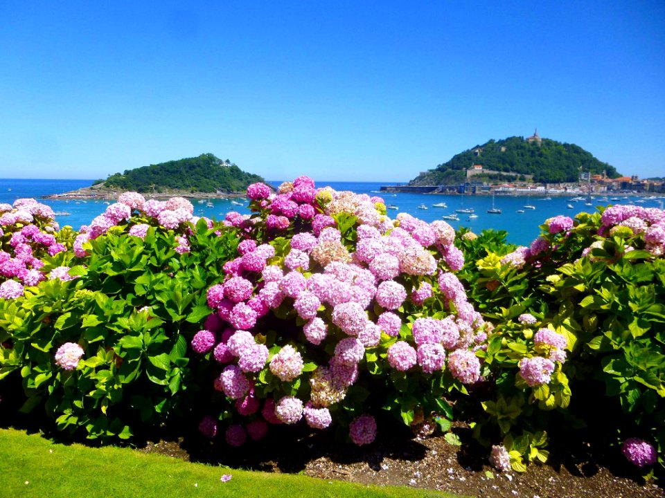 San Sebastián - Parque de Miramar 16