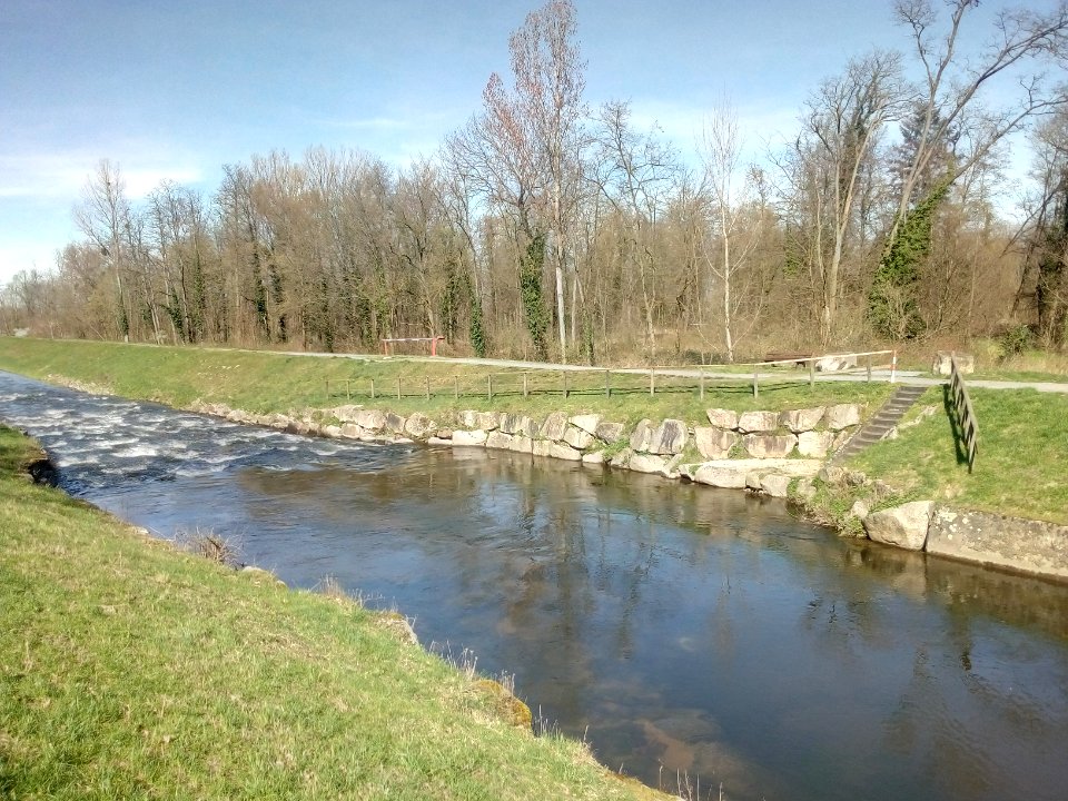 Sandbach, Abzweig Mühlbach bei Iffezheim