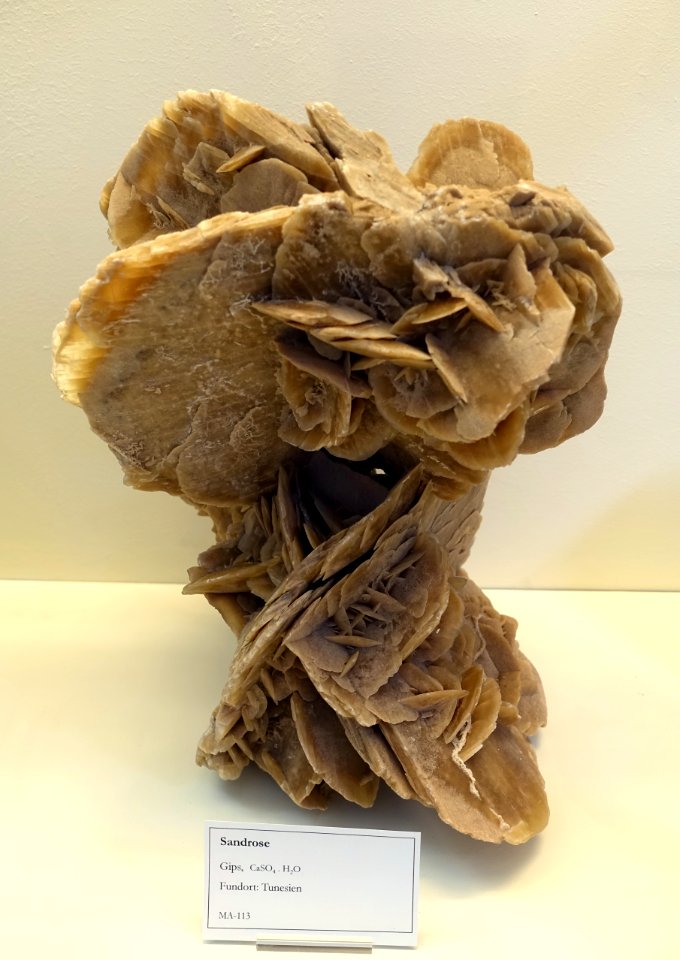 Sand rose - Naturhistorisches Museum Nürnberg - Nuremberg, Germany - DSC04191