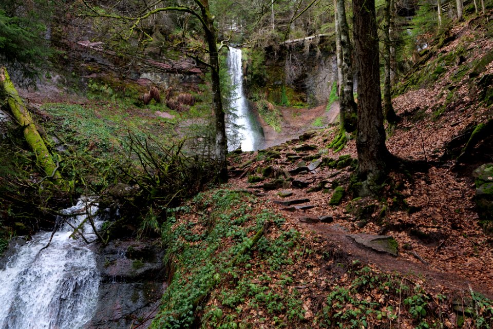Sankenbach Waterfalls 2020-03-12 18