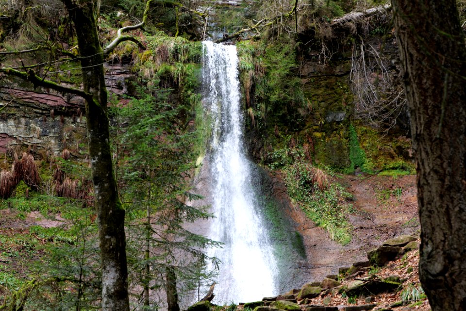 Sankenbach Waterfalls 2020-03-12 14