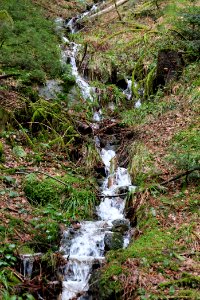 Sankenbach Waterfalls 2020-03-12 11