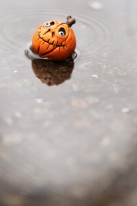 Pumkin weather water