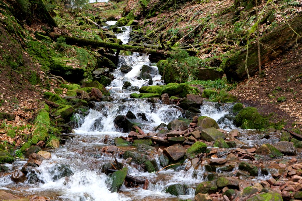 Sankenbach Waterfalls 2020-03-12 03