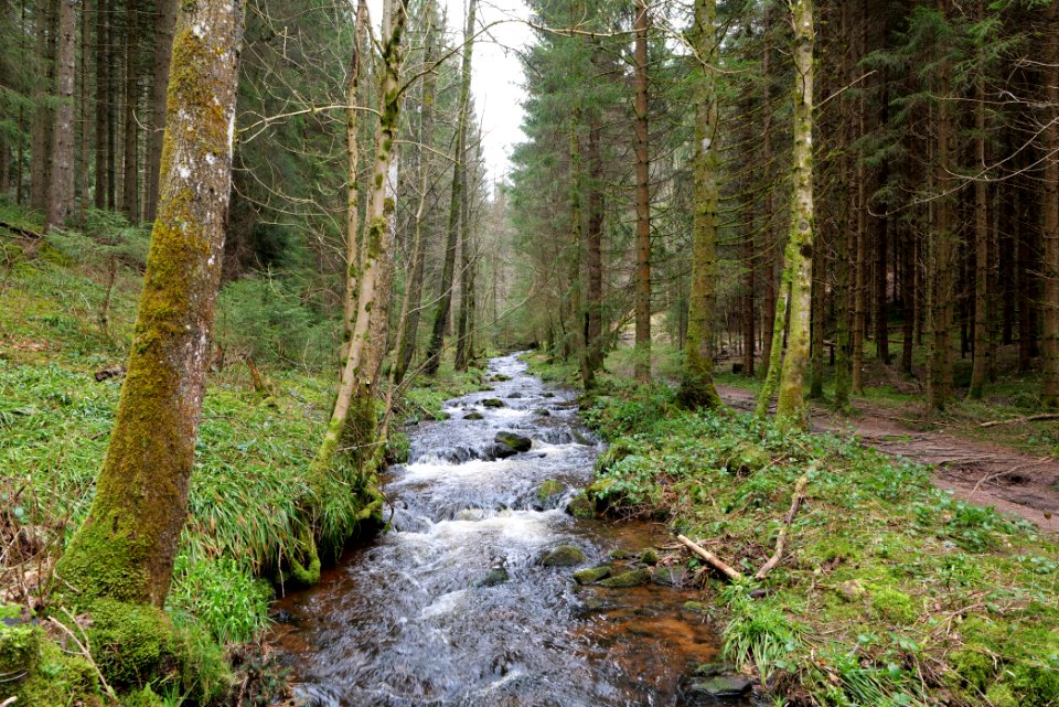 Sankenbach 2020-03-12 11