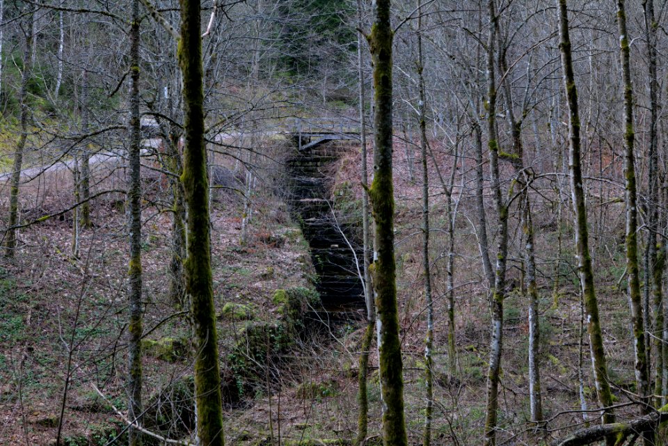 Sankenbach 2020-03-12 17