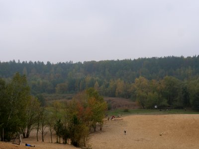Sandgrube im Jagen 86 dune 2019-10-24 02