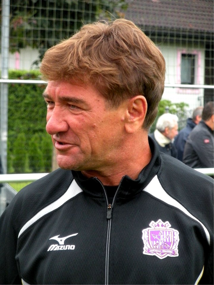 Sanfrecce hiroshima-20100620-michael-petrovic-13