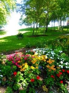 San Sebastián - Parque de Miramar 25