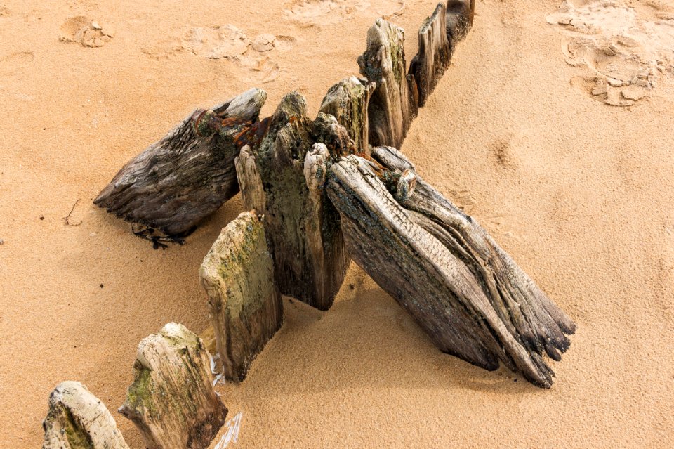 Sand stabilization Omaha Beach