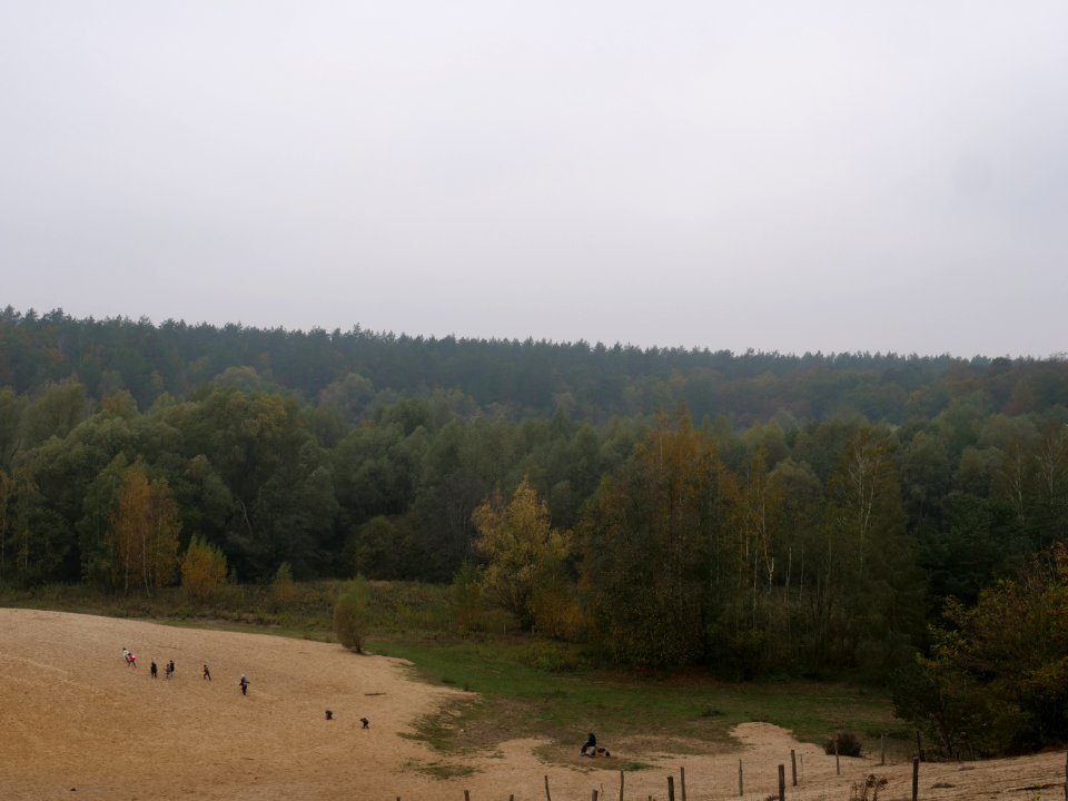 Sandgrube im Jagen 86 dune 2019-10-24 08