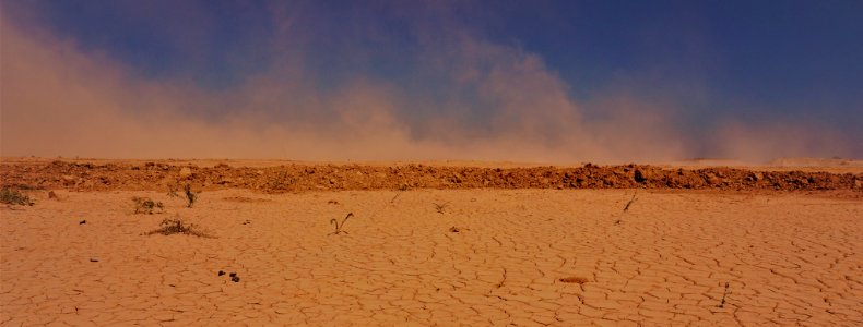 Sand Waves (195166327)