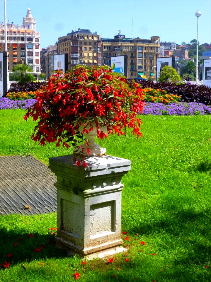 San Sebastián - Plaza Santa Catalina 10