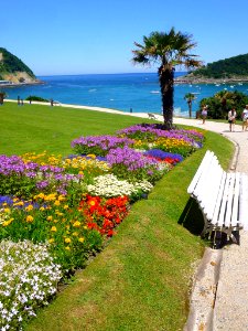 San Sebastián - Parque de Miramar 11