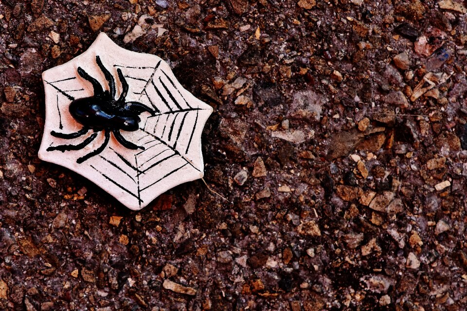 Spider cobweb creepy