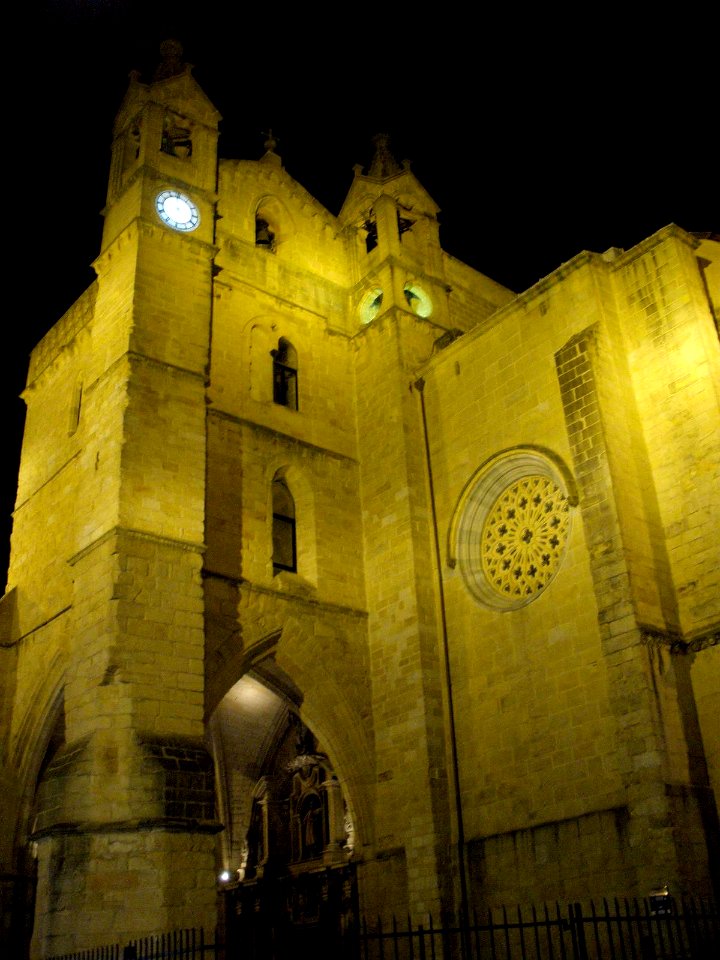 San Sebastian - Iglesia de San Vicente Mártir 12