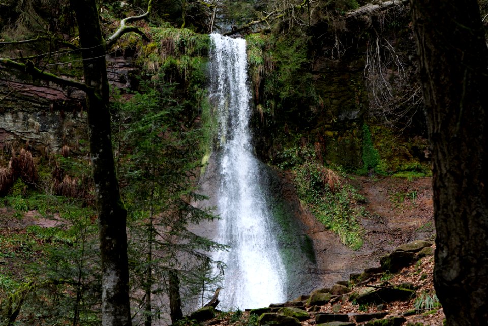 Sankenbach Waterfalls 2020-03-12 15