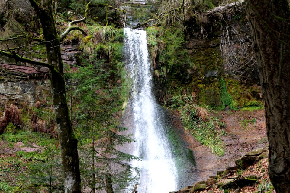 Sankenbach Waterfalls 2020-03-12 13