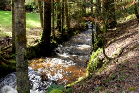 Sankenbach 2020-03-12 03