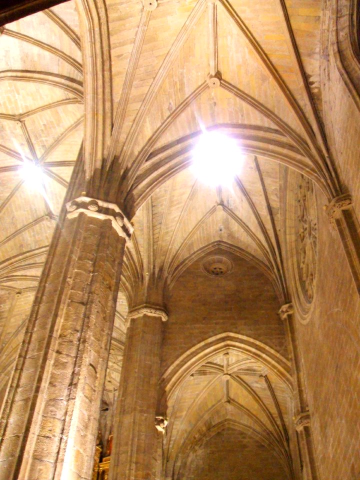 San Sebastian - Iglesia de San Vicente Mártir 16