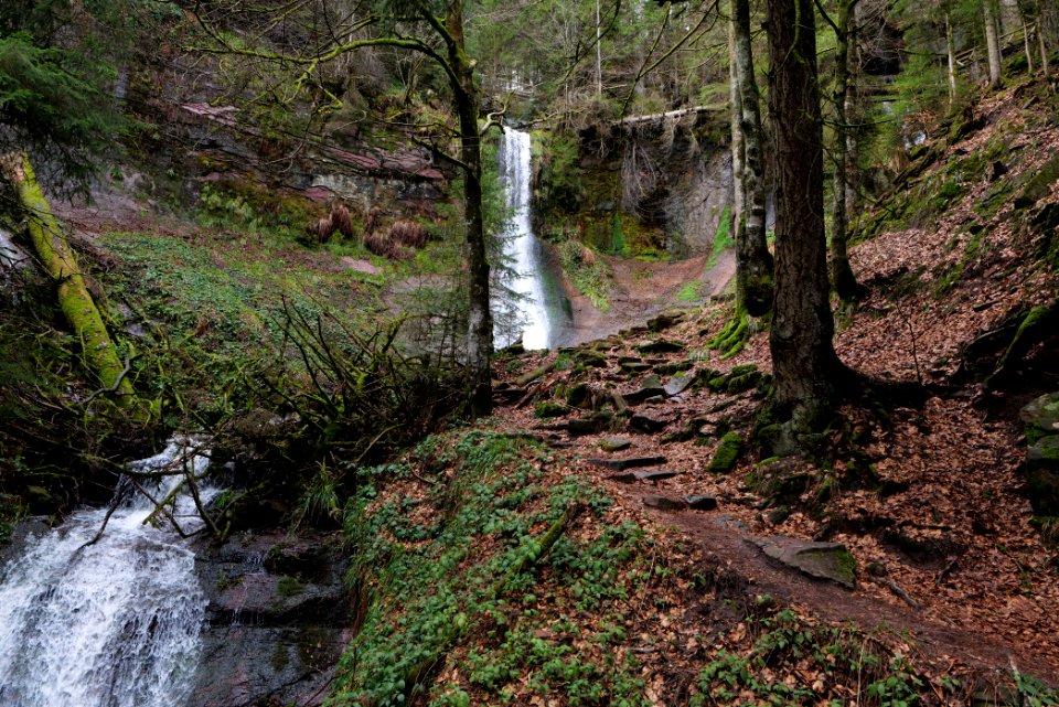 Sankenbach Waterfalls 2020-03-12 17