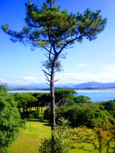 Santander - Península de la Magdalena 07