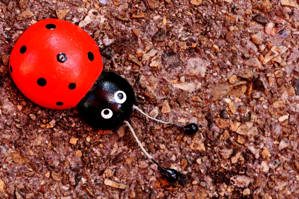 Background lucky ladybug beetle