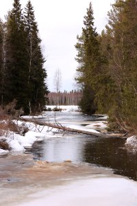 Sanginjoki Oulu 20170423 01
