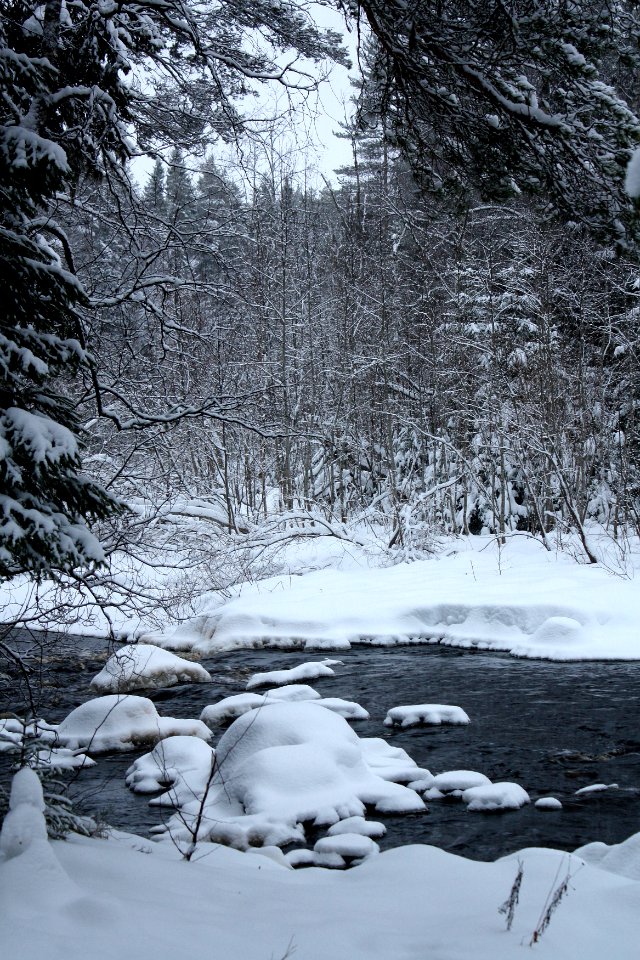 Sanginjoki Oulu 20120106b