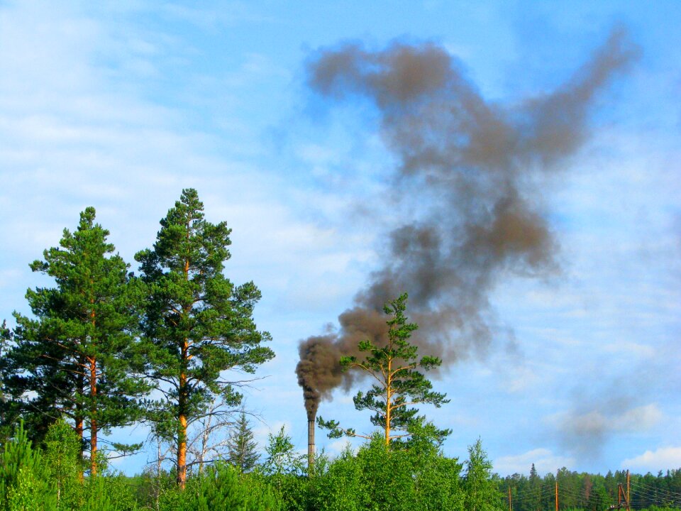 Dust the industry forest