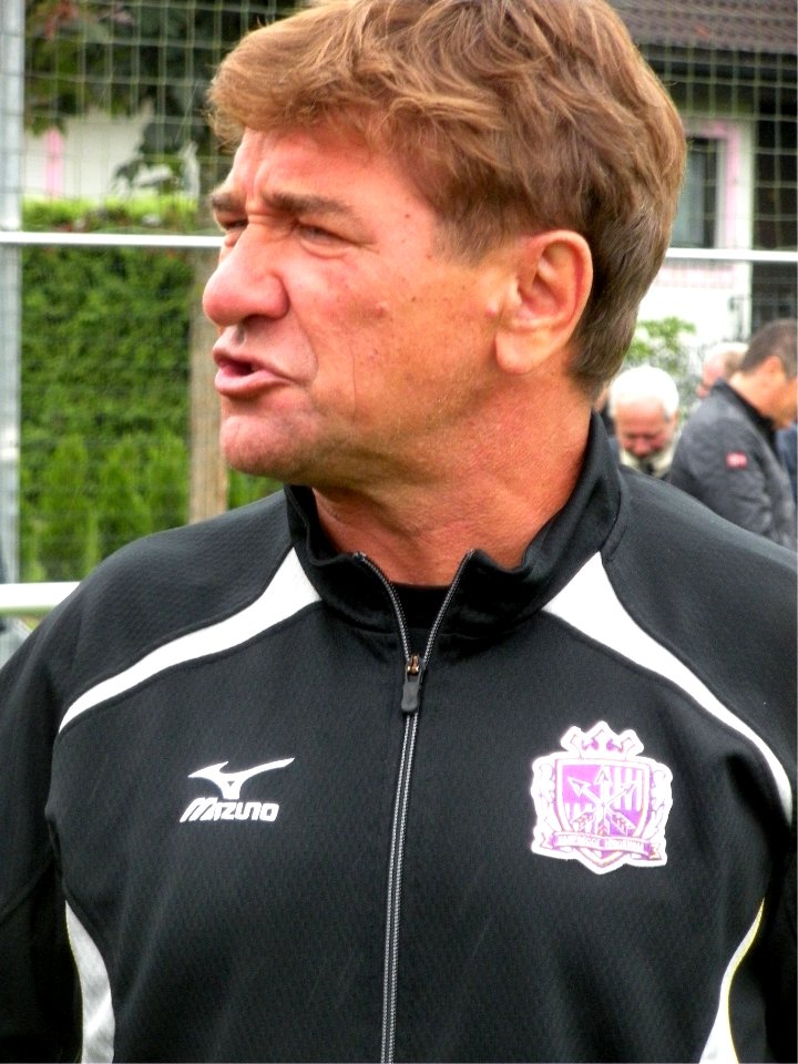 Sanfrecce hiroshima-20100620-michael-petrovic-11