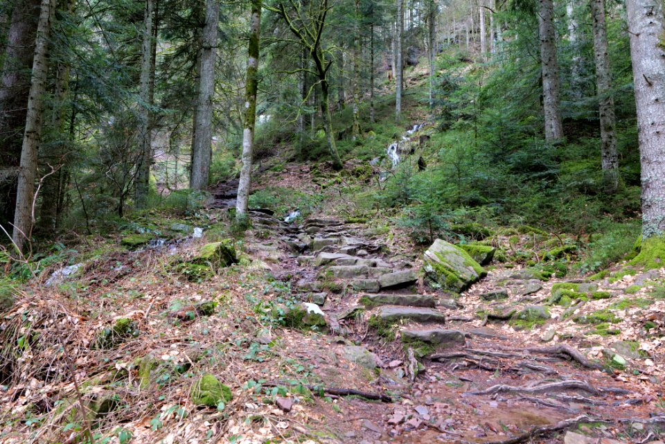 Sankenbach Waterfalls 2020-03-12 08