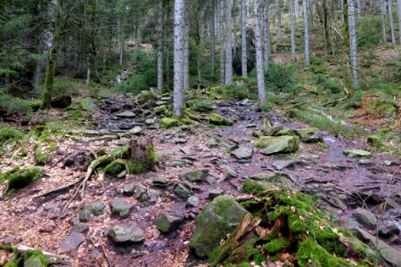 Sankenbach Waterfalls 2020-03-12 06