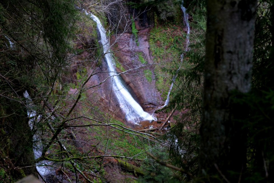 Sankenbach Waterfalls 2020-03-12 100
