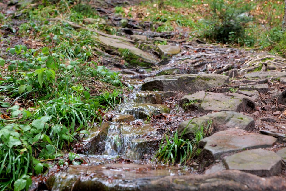 Sankenbach Waterfalls 2020-03-12 04