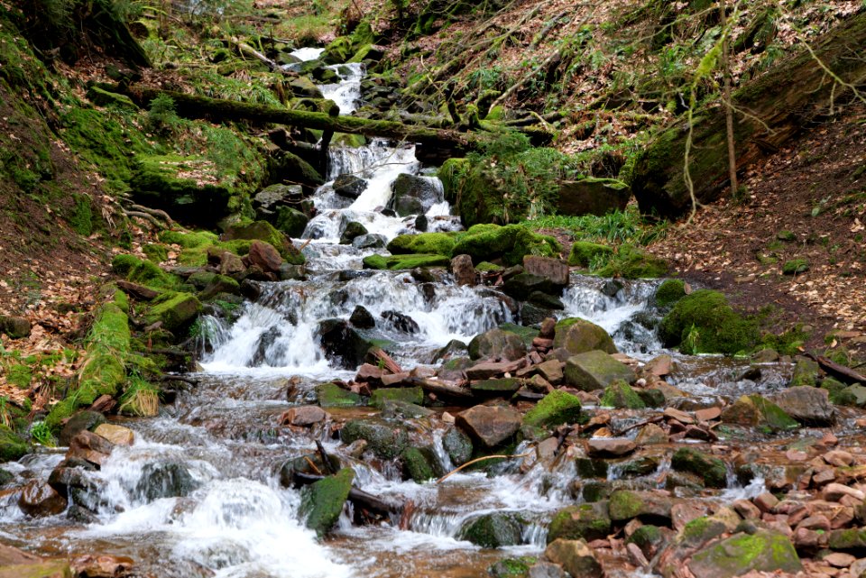 Sankenbach Waterfalls 2020-03-12 02