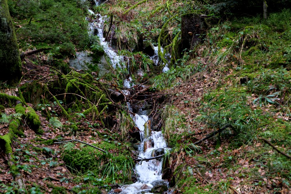 Sankenbach Waterfalls 2020-03-12 10