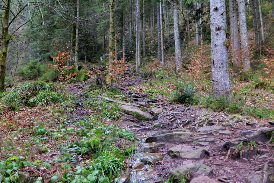 Sankenbach Waterfalls 2020-03-12 05