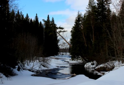 Sanginjoki Oulu 20120422b