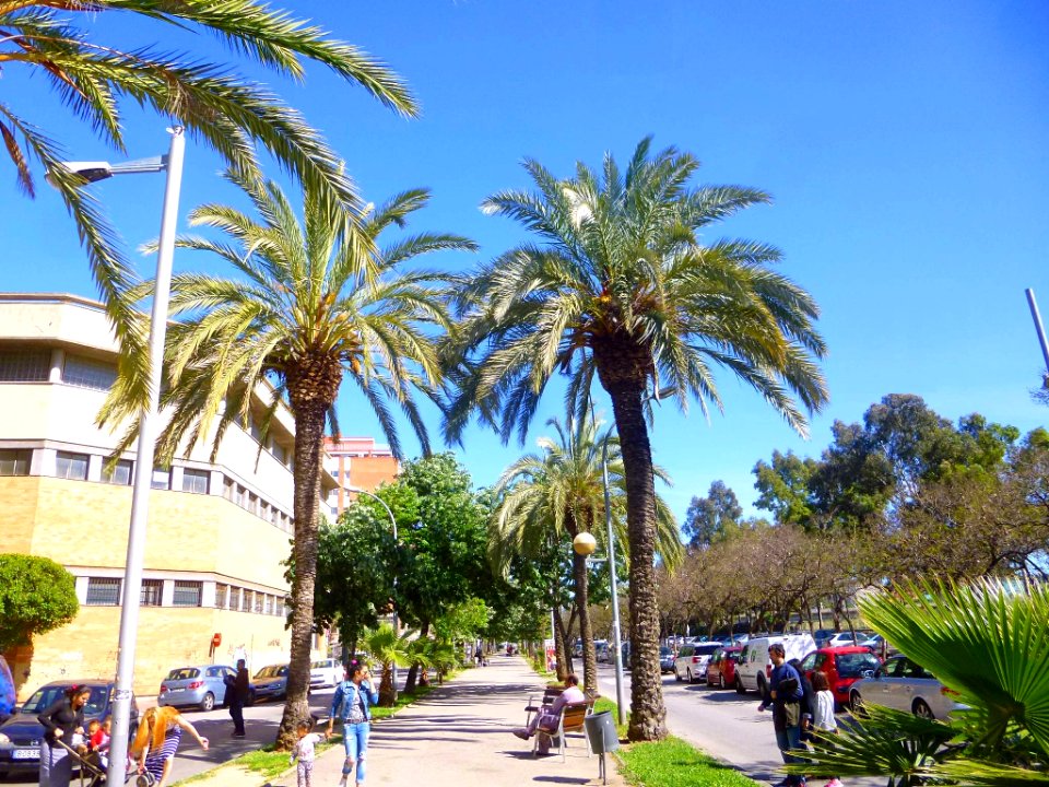 Sant Adrià de Besòs 33