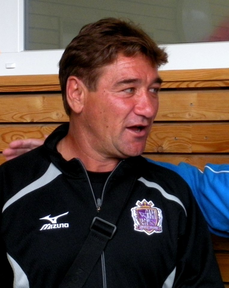 Sanfrecce hiroshima-20100620-michael-petrovic-3