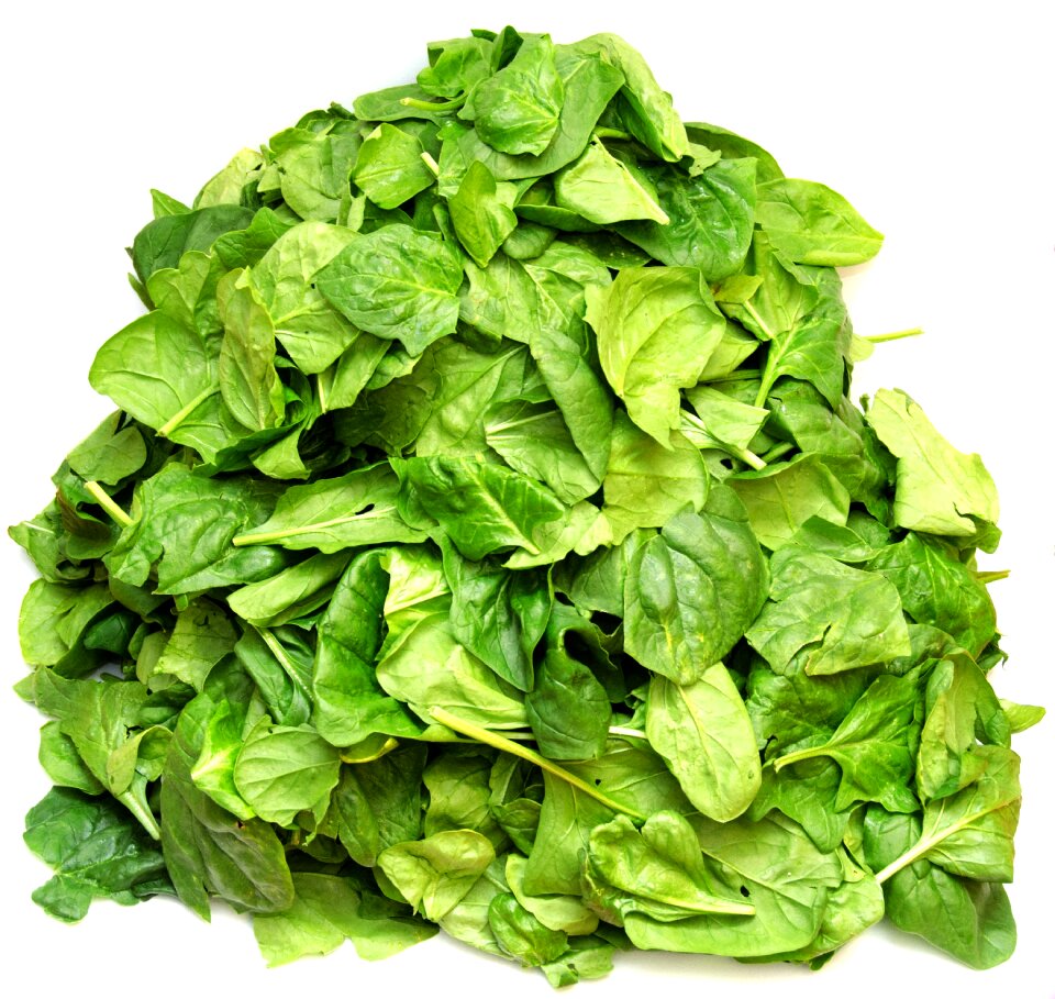 Nutrition vitamins vegan