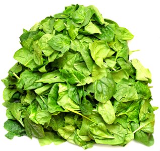 Nutrition vitamins vegan