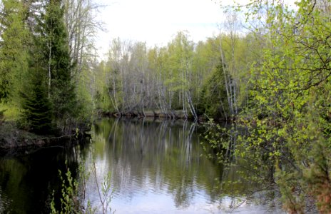 Sanginjoki Oulu 20120526