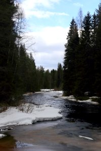 Sanginjoki Oulu 20170423 05