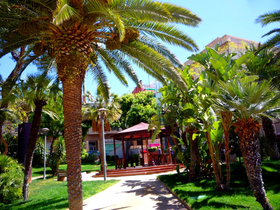 Sant Feliu de Llobregat - Jardins de la Torre del Roser 5