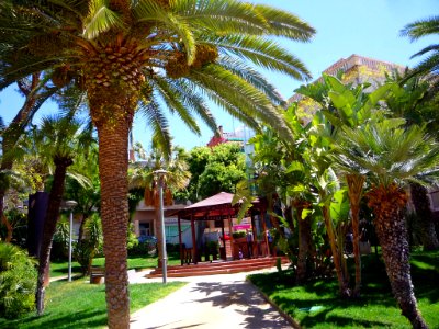 Sant Feliu de Llobregat - Jardins de la Torre del Roser 5