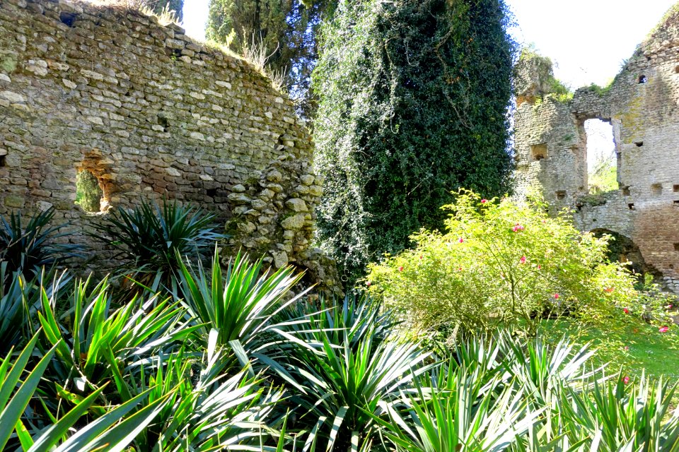 Santa Maria Maggiore - Giardino di Ninfa, Italy - DSC02920