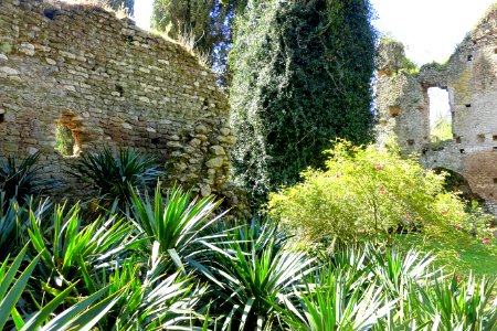 Santa Maria Maggiore - Giardino di Ninfa, Italy - DSC02920